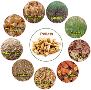 flat die pellet mill