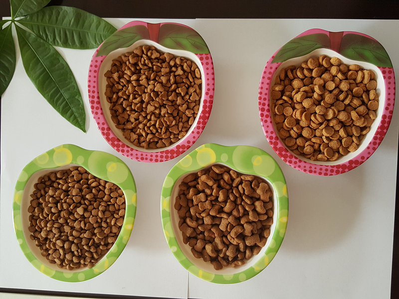 pet food pellet line