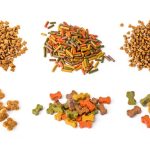dog food ingredients