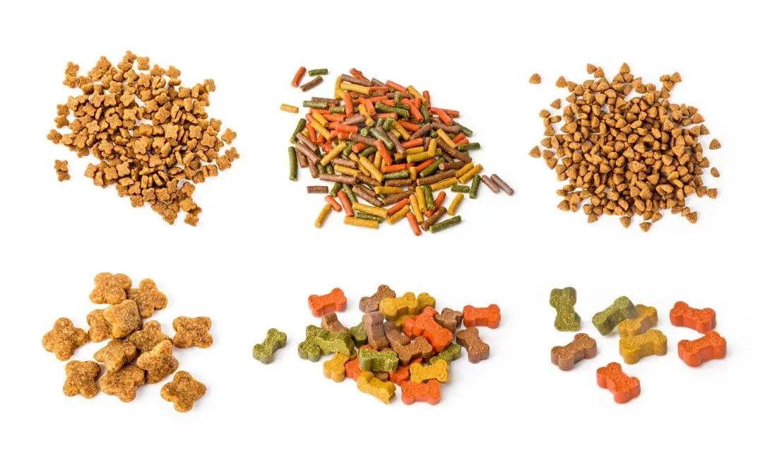 dog food ingredients